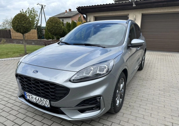 Ford Kuga cena 145500 przebieg: 9800, rok produkcji 2023 z Krotoszyn małe 742